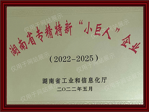 专精特新“小巨人”企业